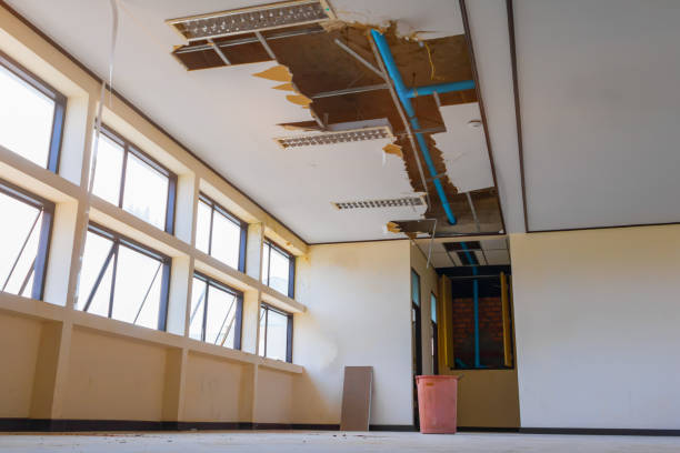 Best Professional water damage repair  in East Moriches, NY
