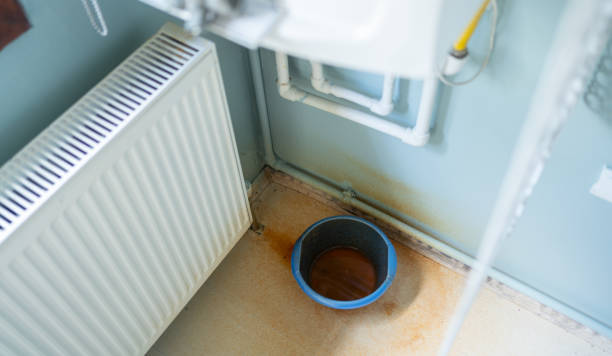 Best Water damage cleanup near me  in East Moriches, NY