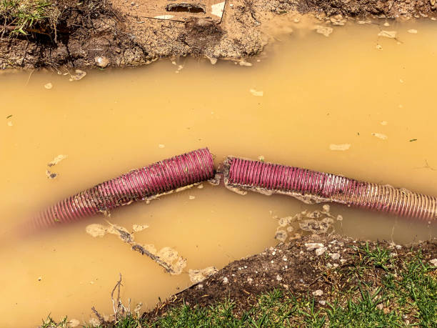  East Moriches, NY Water damage restoration Pros