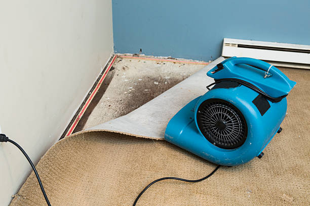 Best Flooded house restoration  in East Moriches, NY