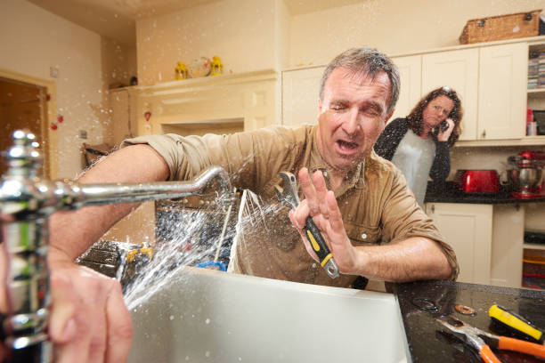 Best Mold removal after water damage  in East Moriches, NY
